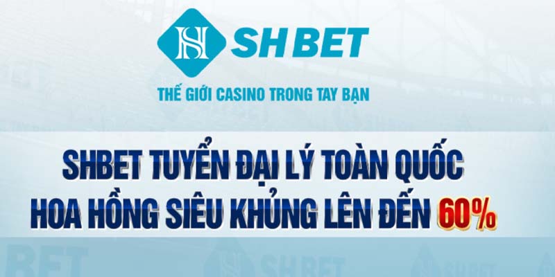 Nhà cái xây dựng bảng tỷ lệ cược cạnh tranh 